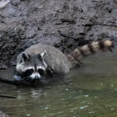 Fotograf: Claus Lind Christensen