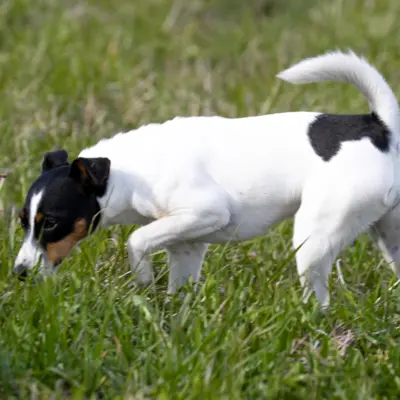 Fotograf: Claus Lind Christensen