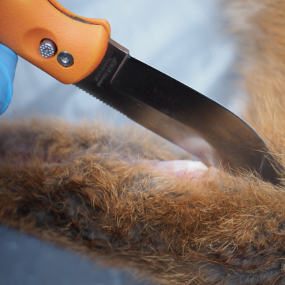 Fotograf: Christian Lang Jensen