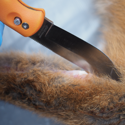 Fotograf: Christian Lang Jensen