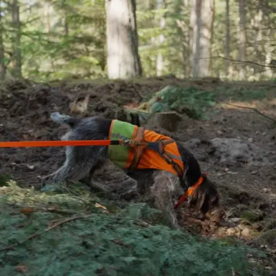 Fotograf: Søren Vendelbo