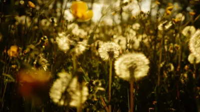 Fotograf: Jette Martinussen