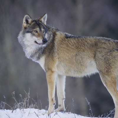 Fotograf: Jette Martinussen