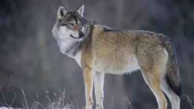 Fotograf: Jette Martinussen