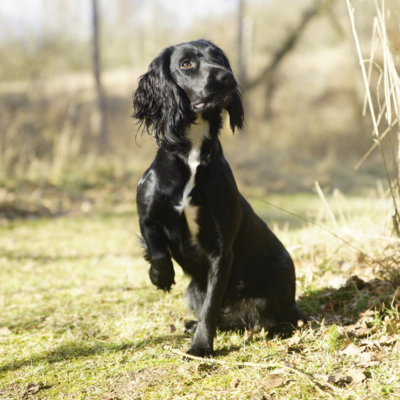 Fotograf: Jette Martinussen