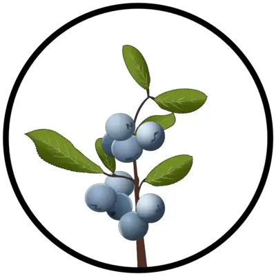 Fotograf: Mads Spanggaard Dragsbæk