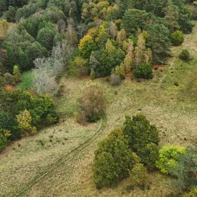 Fotograf: Søren Vendelbo