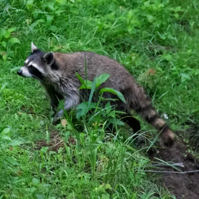 Fotograf: Claus Lind Christensen