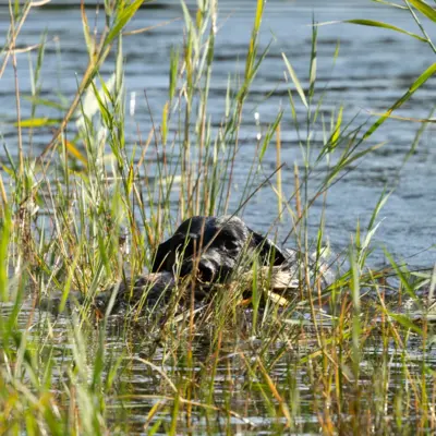 Fotograf: Thomas Lindy Nissen