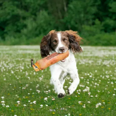 Fotograf: Søren Vendelbo