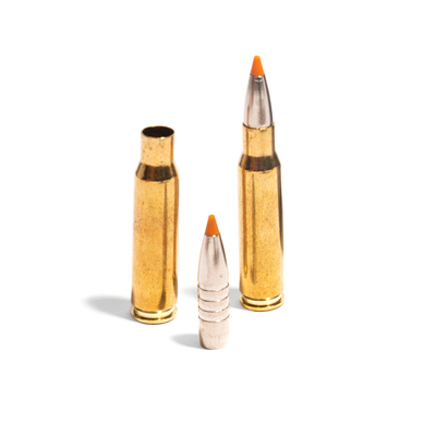 Fotograf: Jette Martinussen