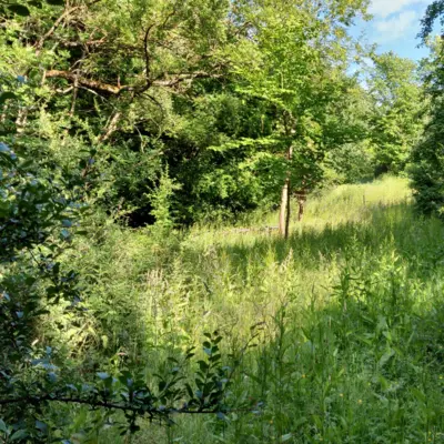 Fotograf: Christian Lang Jensen