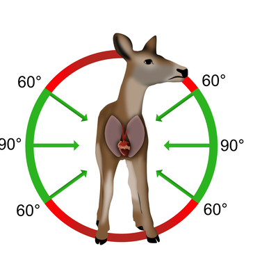 Fotograf: Mads Spanggaard Dragsbæk