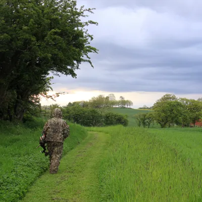 Fotograf: Max Steinar