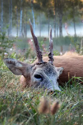 Fotograf: Thomas Iversen
