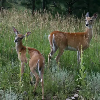 Fotograf: Claus Lind Christensen