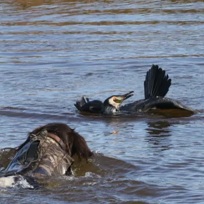 Fotograf: Thomas Lindy Nissen