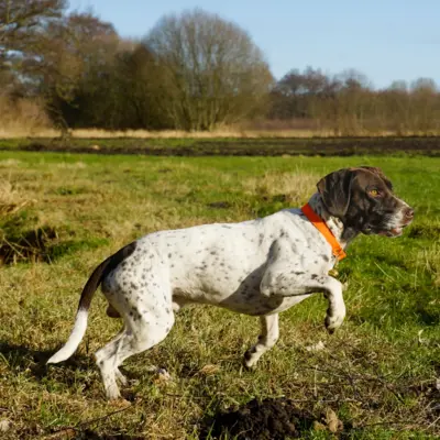 Fotograf: Jette Martinussen