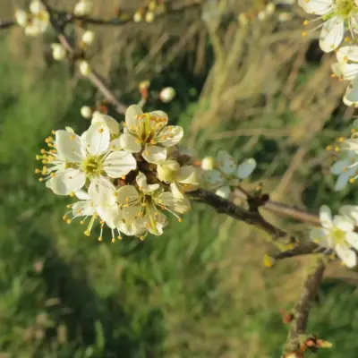 Fotograf: Thomas Iversen