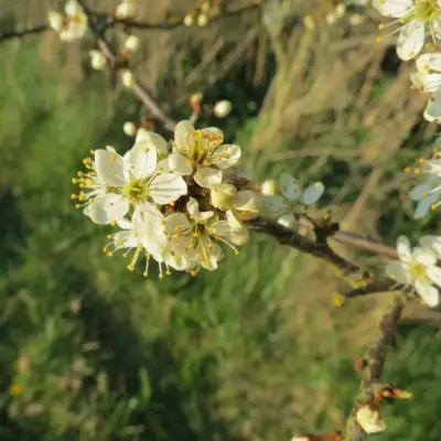 Fotograf: Thomas Iversen