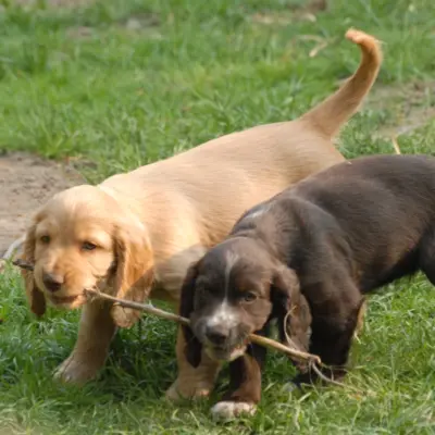 Fotograf: Niels Søndergaard