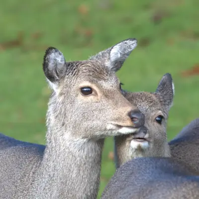 Fotograf: Niels Søndergaard