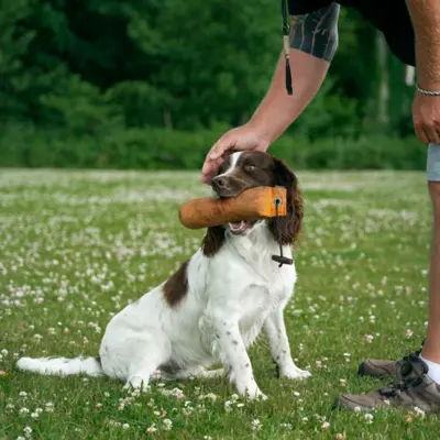 Fotograf: Søren Vendelbo