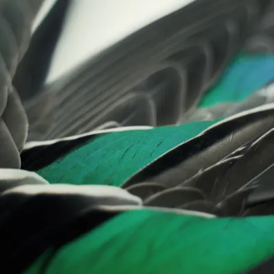 Fotograf: Søren Vendelbo