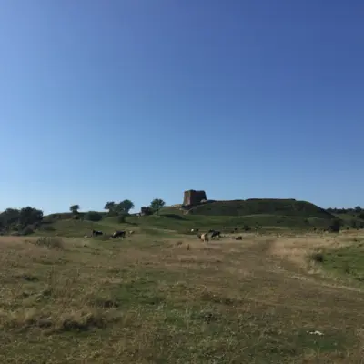 Fotograf: Jette Martinussen