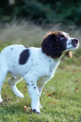 Fotograf: Søren Vendelbo