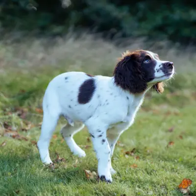 Fotograf: Søren Vendelbo