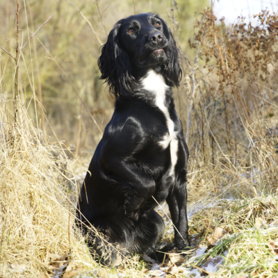 Fotograf: Jette Martinussen