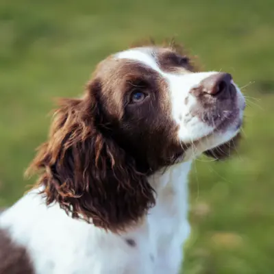 Fotograf: Søren Vendelbo