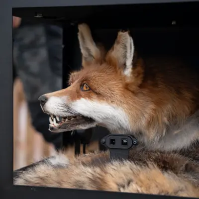 Fotograf: Søren Vendelbo