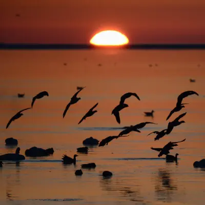 Fotograf: Jan Skriver