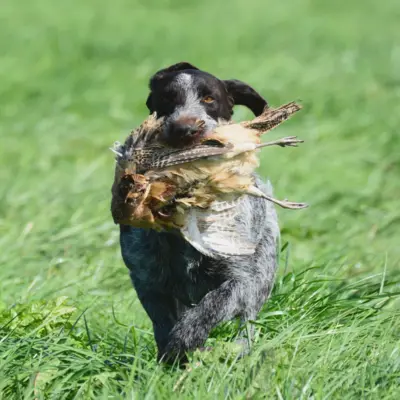 Fotograf: Jan Skriver