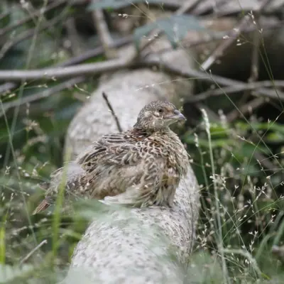 Fotograf: Thomas Iversen