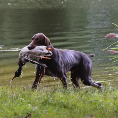 Fotograf: Jan Skriver