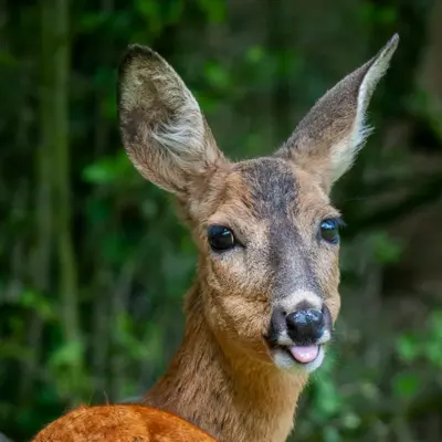 Fotograf: Claus Lind Christensen