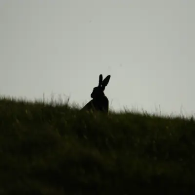 Fotograf: Niels Søndergaard