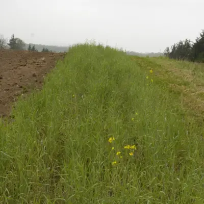 Fotograf: Niels Søndergaard