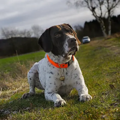 Fotograf: Jette Martinussen