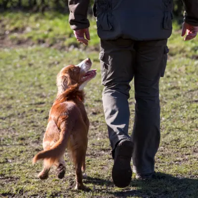Fotograf: Flemming Højer