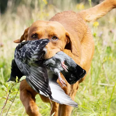 Fotograf: Thomas Lindy Nissen