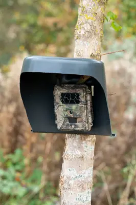 Fotograf: Søren Vendelbo