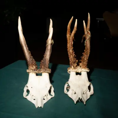 Fotograf: Søren Vendelbo