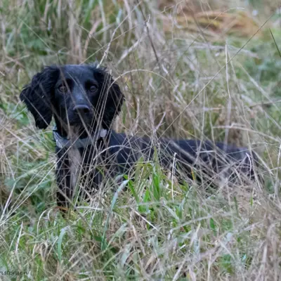 Fotograf: Claus Lind Christensen