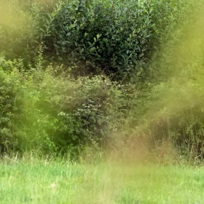 Fotograf: Thomas Lindy Nissen