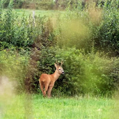 Fotograf: Thomas Lindy Nissen