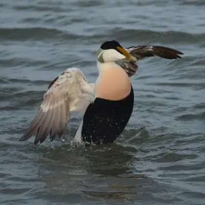 Fotograf: Jan Skriver